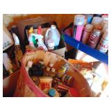 Contents of East Half of Shed-Spray Paint, Weed killer, Car cleaning supplies, etc.