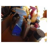 Contents of East Half of Shed-Spray Paint, Weed killer, Car cleaning supplies, etc.