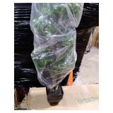 Nearly Natural 37" Bonsai Styled Podocarpus Artificial Tree