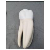 3B Scientific D15 Giant Molar w/ Dental Caries 15x life-size 6-part - 3B Smart Anatomy