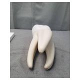 3B Scientific D15 Giant Molar w/ Dental Caries 15x life-size 6-part - 3B Smart Anatomy