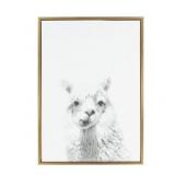 Sylvie Alpaca Framed Canvas Wall Art by Simon Te Tai, Gold 23x33- Retail:$79.98