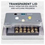 Jumbl Clear Egg Incubator, Fully Automatic Digital Poultry Hatching Machine, Temperature Control & Automatic Egg Turner, LED Candler, Mini 12-35 Egg Incubator Breeder for Chicken, Ducks, Birds & More