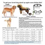 HobeyHove Adjustable Dog Cart/Wheelchair,Fordable Dog Wheelchair for Back Legs,Assist Small Pets with Paralyzed Hind Limbs to Recover Their Mobility Two Colour, XSLW