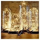 HomestarryÂ® Connectable String Lights On Copper Wire - 100