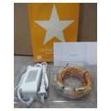 HomestarryÂ® Connectable String Lights On Copper Wire - 100