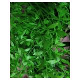 Artificial Vines Fake Greenery Garland for weddings varies from stock photo