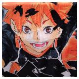 ANIME SMALL THROW / BLANKET