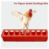 Plastic Chicken Feeders, Small Plastic Poultry Feeder, Poultry Feeder Tray with Holes Poultry Feeder Tray for Poultry Farm Chicken Feeder Tool