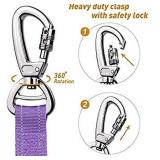 Heavy Duty Dog Leash, Reflective Dog Leashes with Car Seat Belt and Soft Padded Handle, 6FT Strong Dog Leash for Training, Walking Lead for Large Medium Dogs