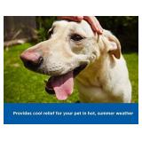 Cooling gel for pets Hugs Pet Products chillz Pad comfort