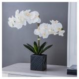 Synthetic Two Stem Orchid-White -Retail $44.99