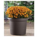 17.5" Geo Planter- Terra Cotta - 17.5"w x 13.25"h