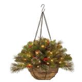 20-inch Crestwood Spruce Chain Hanging Basket