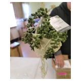 Artificial Plant STRING OF PEARLS MACRAME HANGING CERAMIC DONKEY TAILS - ONE-SIZE