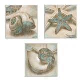 Stupell Industries Star Fish and Sea Shells Distressed Texture Blue Tan Design,12 x 12, Wood Wall Art