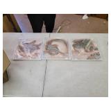 Stupell Industries Star Fish and Sea Shells Distressed Texture Blue Tan Design,12 x 12, Wood Wall Art