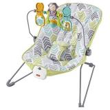 Fisher-Price Baby Bouncer, Arrow Dynamic