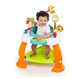 Bright Starts Bounce Bounce Baby