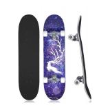 TABKEER Standard Complete Skateboard for Beginners â 31â x 8â Teen Kids Skateboard with 2-Inch Polyurethane Wheels and ABEC-9 Bearings â Hardwood Maple Deck Skateboards for Kids Bo