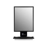 ToiletTree Products Deluxe Larger Fogless Shower Shaving Mirror with Squeegee, Large, Black