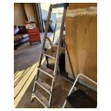 2 Step Ladders