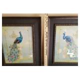 2 Peacock Pictures 16x19
