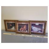 3 Framed Rooster Pictures 10x12