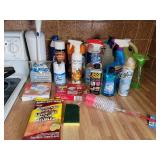Household Cleaning Supplies