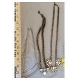 5 Necklaces and Jewelry Organizer