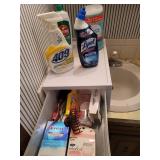 Bathroom Supplies (Cleaners, Razors, Soap, and Tote Included)