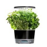 AeroGarden - Harvest Elite 360 6-Pod with Gourmet Herb Seed Pod Kit - Platinum Stainless