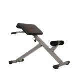 Sunny Health and Fitness 45 Degree Hyperextension Roman Chair