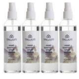 Trillium Liquid Hand Sanitizer, 48- 4 Fluid Ounces Each