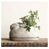 Creative Co-Op Cement Rabbit Planter with Saucer