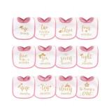 Hudson Baby Sparkling New Monthly Milestone Interlock Bibs (12 COUNT)