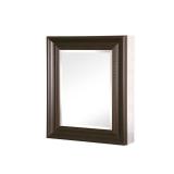 Pegasus Recessed/Surface Mirrored Medicine Cabinet