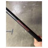 AMES 20-Tine Steel MP Rake
