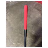 AMES 20-Tine Steel MP Rake