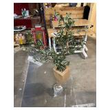 Nearly Natural Olive Artificial Tree