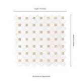 Premium Mosaics Bianco Dolomite Crema Dotty Polished Tile Set