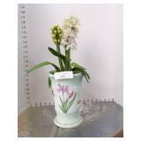 Iris Flower Pot w/ Flowers Iris Flower Pot w/ Flowers