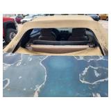 1995 Pontiac Firebird, Green