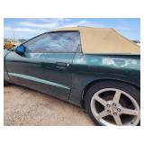 1995 Pontiac Firebird, Green