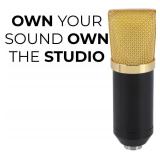 Pyle Cardioid Condenser Microphone Kit -1-Pack Pro Audio Large Diaphragm Universal Mic with Shock Mount & XLR Cable, Ideal for Podcast, Streaming, Recording, and Broadcasting, Easy Set Up