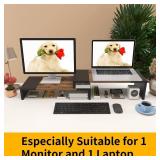 WESTREE Dual Monitor Stand - Riser 2 Shelf Computer with Adjustable Length and Angle, Stands for Monitors, Desktop Organizer PC, Computer, Laptop
