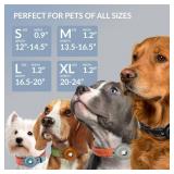 CollarDirect Airtag Dog Collar Reflective Nylon Neoprene Leather Holder for Apple Air Tag for Large, Medium, and Small Dogs (Black, XL, 20-24 Inch)
