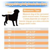 Langsprit Male Belly Bands for Dogs (Pack of 3) - Dog Diapers Male - High Absorbing Dog Wraps Male Washable - Reusable Small Doggy Doggie Puppy Male Dog Diapers (Sloth,Whale,Dinosaur, Small)