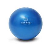 ProBody Pilates Small Exercise Ball - 9 Inch Workout Ball for Stability, Barre, Yoga, Core & Physical Therapy