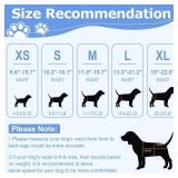 Ambreview Dog Diapers Female, Disposable Diapers for Female Dog with Stretchy Waist, Pull Up Puppy Wraps for Doggie in Heat Period Super Absorbent Leak-Proof Doggy Diaper for Dogs 30PCS (L)